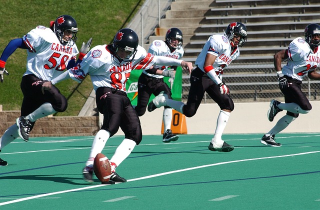 合理的批评 合理的批评