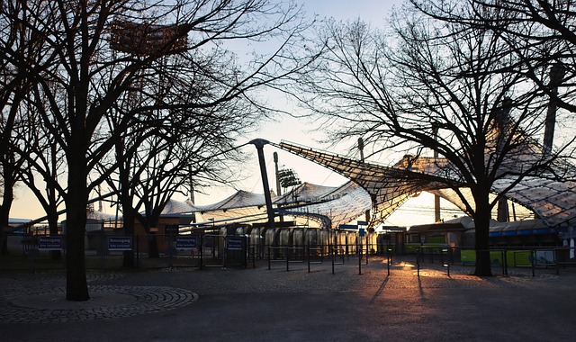 球隊的整體 球隊的整體