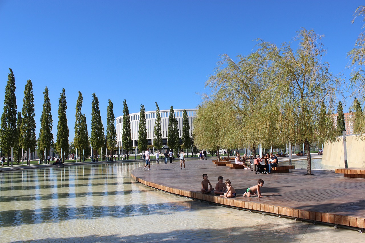 媒体消失 媒体消失