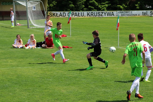 包括增加对 包括增加对