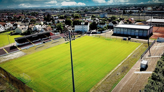 法律武器强 法律武器强